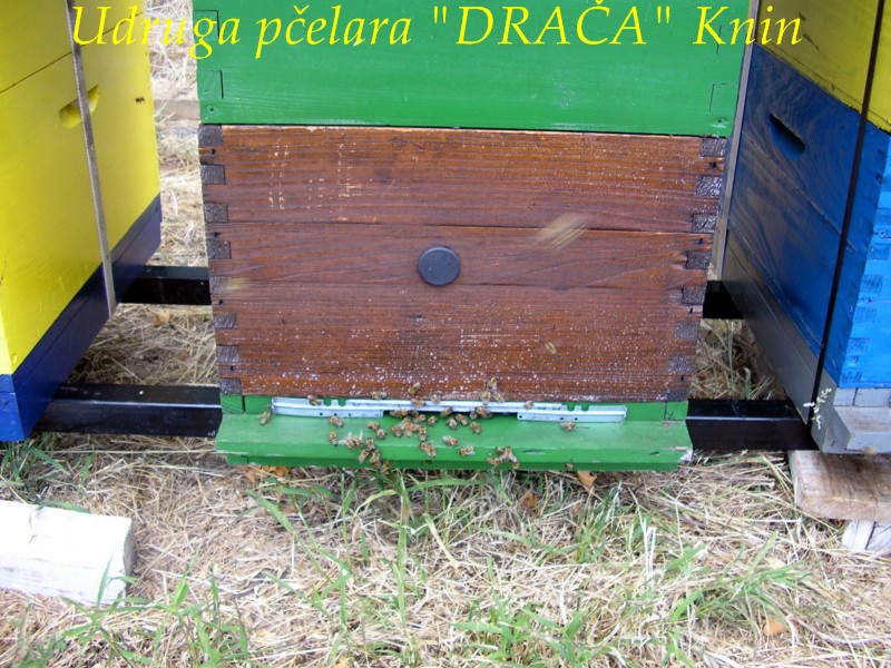 UP_Draca_Knin (14)
